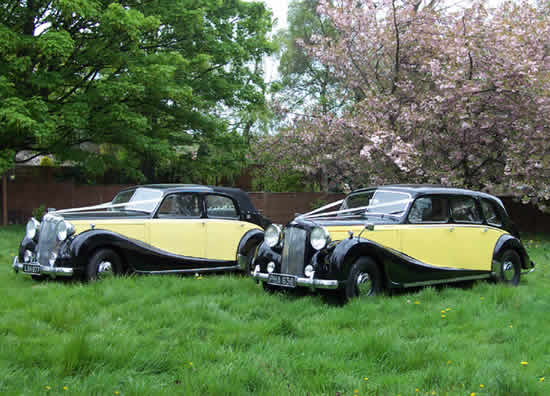 Austin Sheerline Wedding Cars